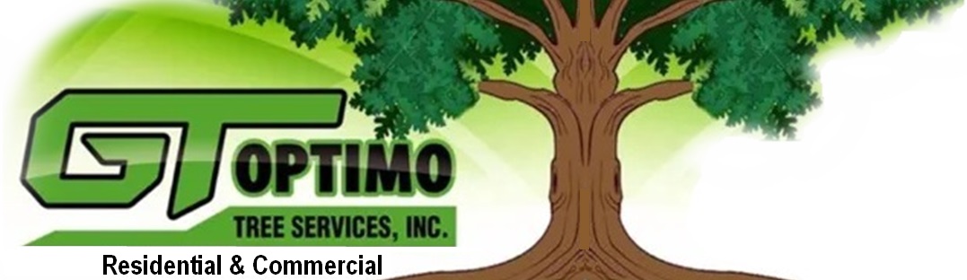 GT Optimo Tree Services North Shore MA