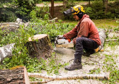 Kirishi, Russia - 24 May, Removing A Hemp Tree By A Large Chains